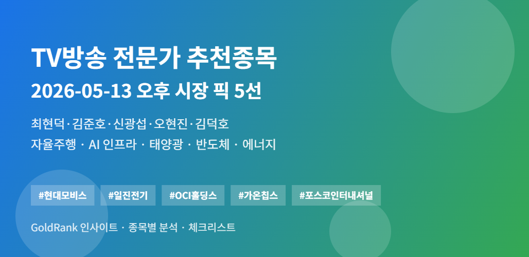 TV방송 전문가 5인이 추천한 2026년 5월 13일 오후 시장 픽 5개 종목 — 현대모비스 일진전기 OCI홀딩스 가온칩스 포스코인터내셔널